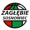 CTL Zagłębie Sosnowiec
